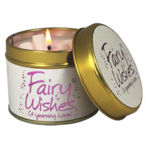 1FAIW-fairy-wishes-1-214x214